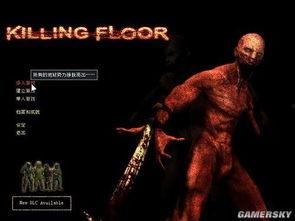 杀戮类型,剖析不同类型杀戮背后的黑暗面